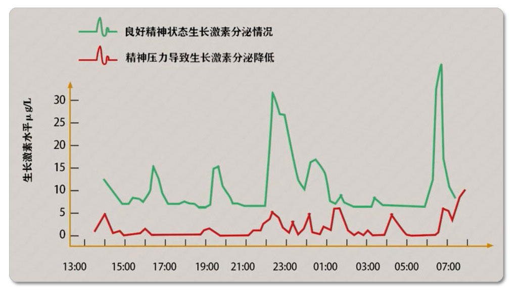 精神压力对于生长激素分泌量变化曲线的影响(精切中图)(加边框投影).jpg