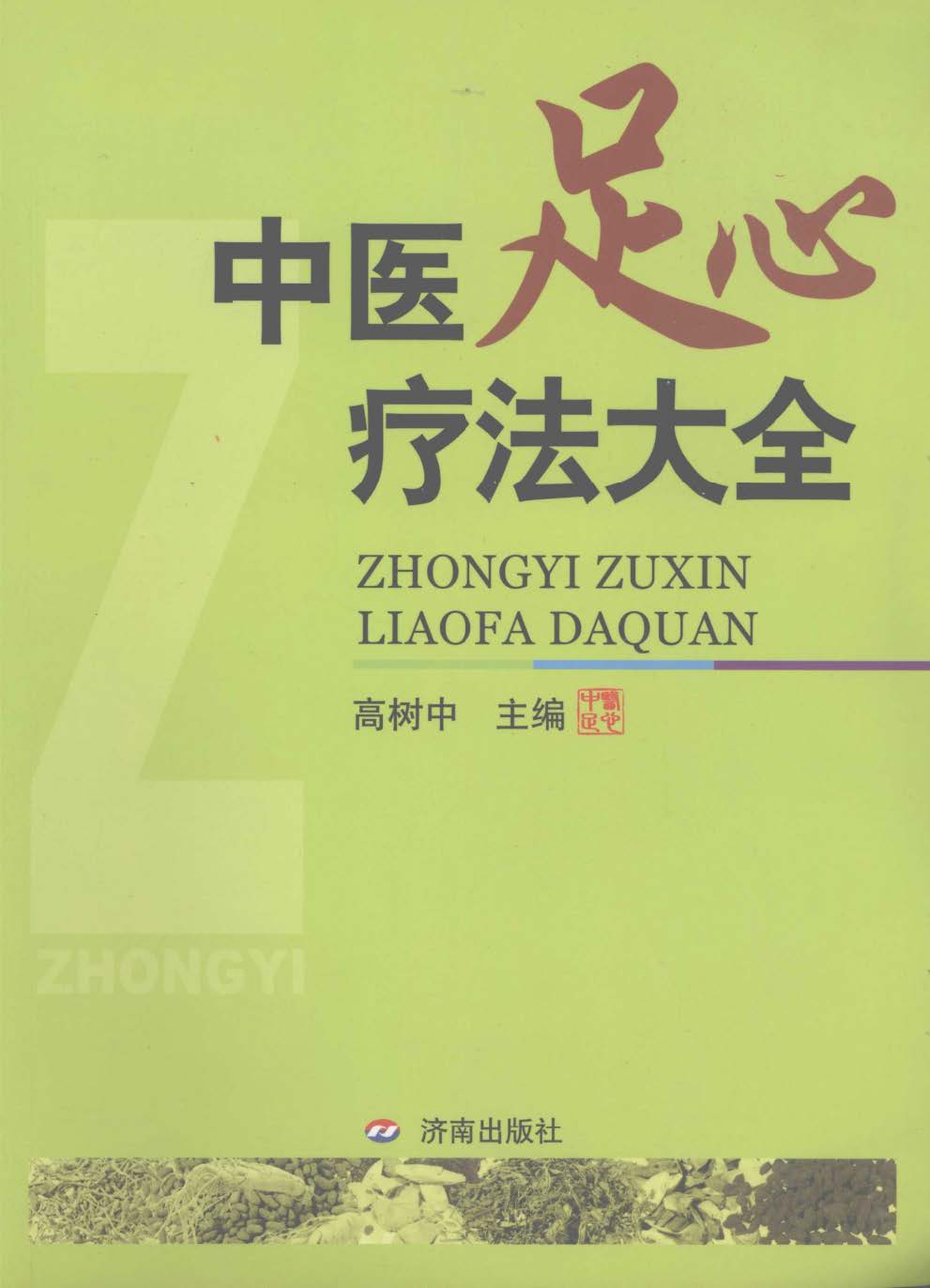 电子书- 中国传统医学独特疗法丛书(高树中版) 济南出版社2008年PDF 