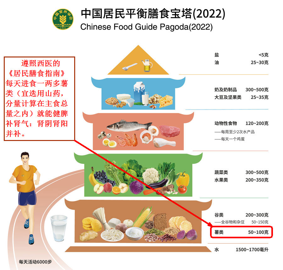 遵照西医的《居民膳食指南》每天进食一两多薯类(宜选用山药，分量计算在主食总量之内)就能健脾补肾气：肾阴肾阳并补。.jpg