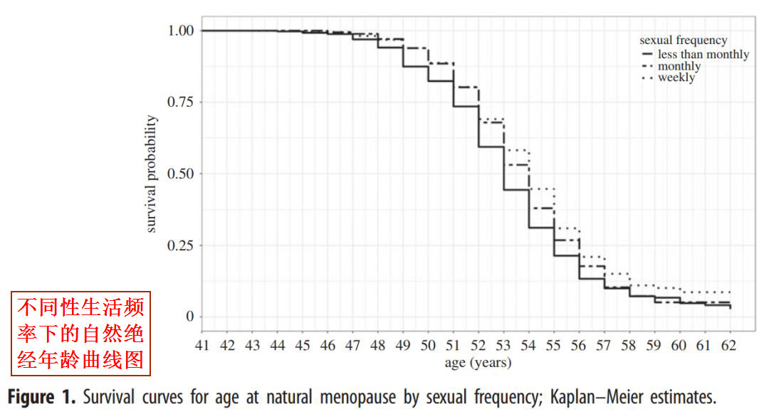 不同性生活频率下的自然绝经年龄曲线图.jpg