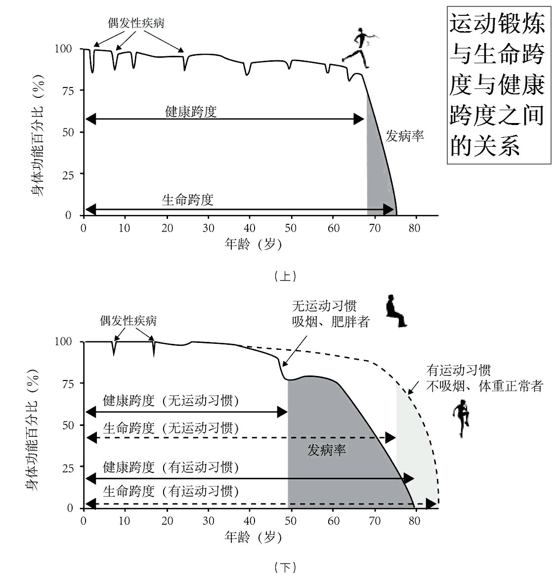 运动锻炼与生命跨度与健康跨度之间的关系(勾注).jpg