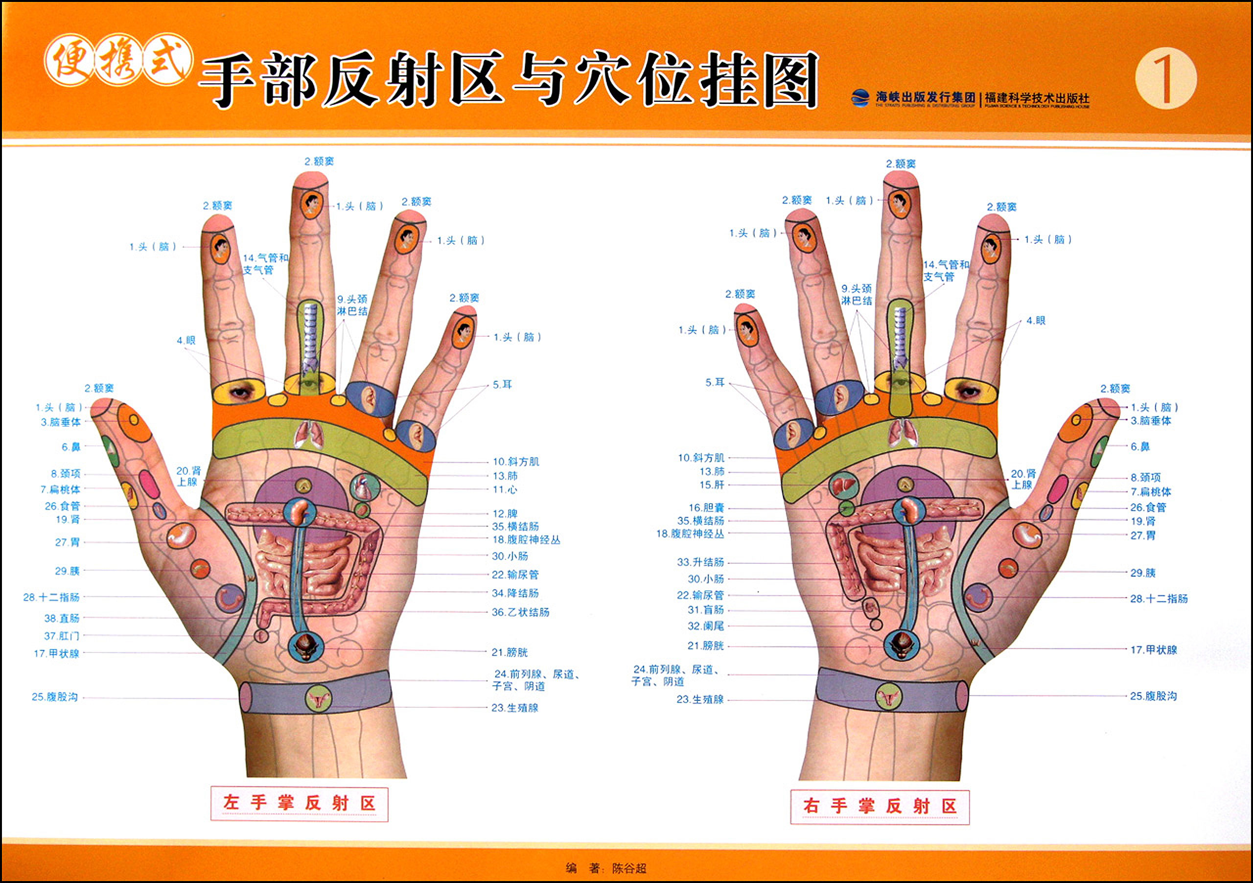 便携式手部反射区与穴位挂图（处理）.jpg