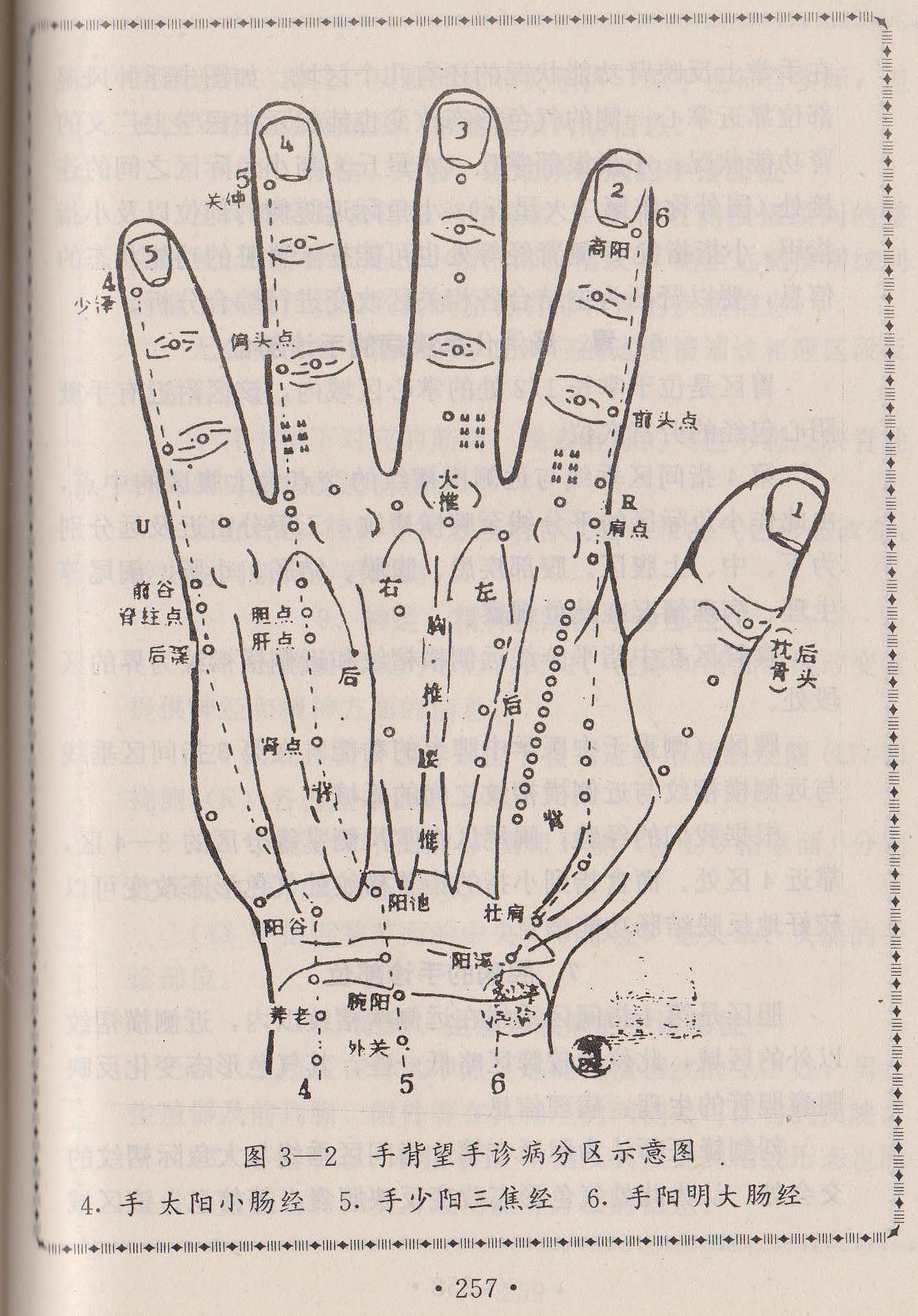手背望手诊病分区示意图.jpg