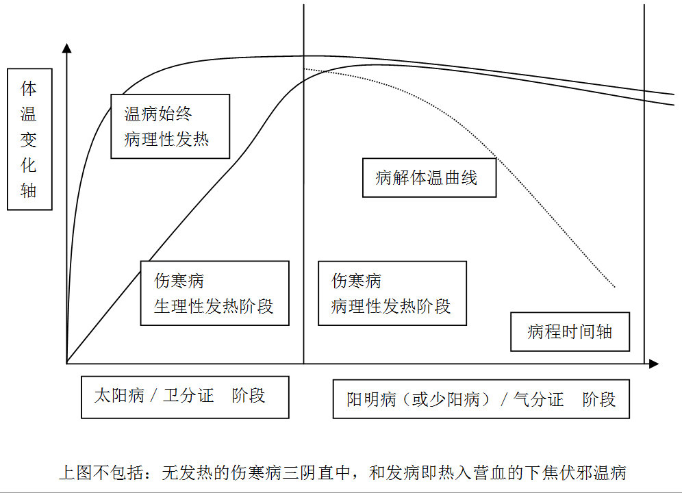 伤寒病与温病的发热阶段曲线图.jpg