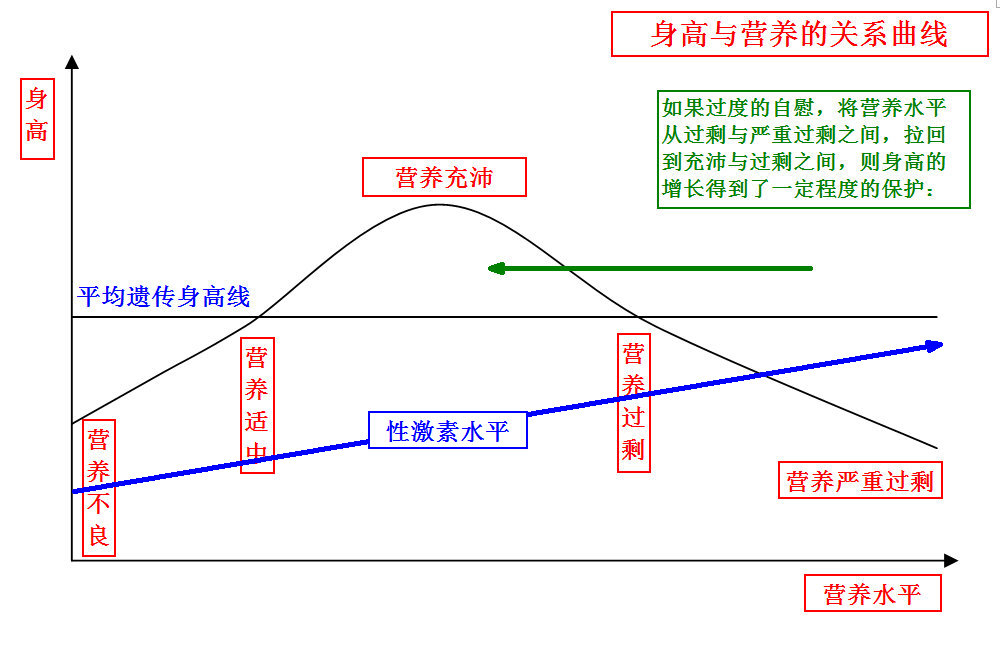 身高与营养的关系曲线.jpg