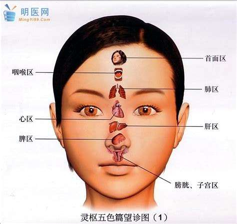 《黄帝内经》｛灵枢｝＜五色篇＞明堂色部分布图.jpg