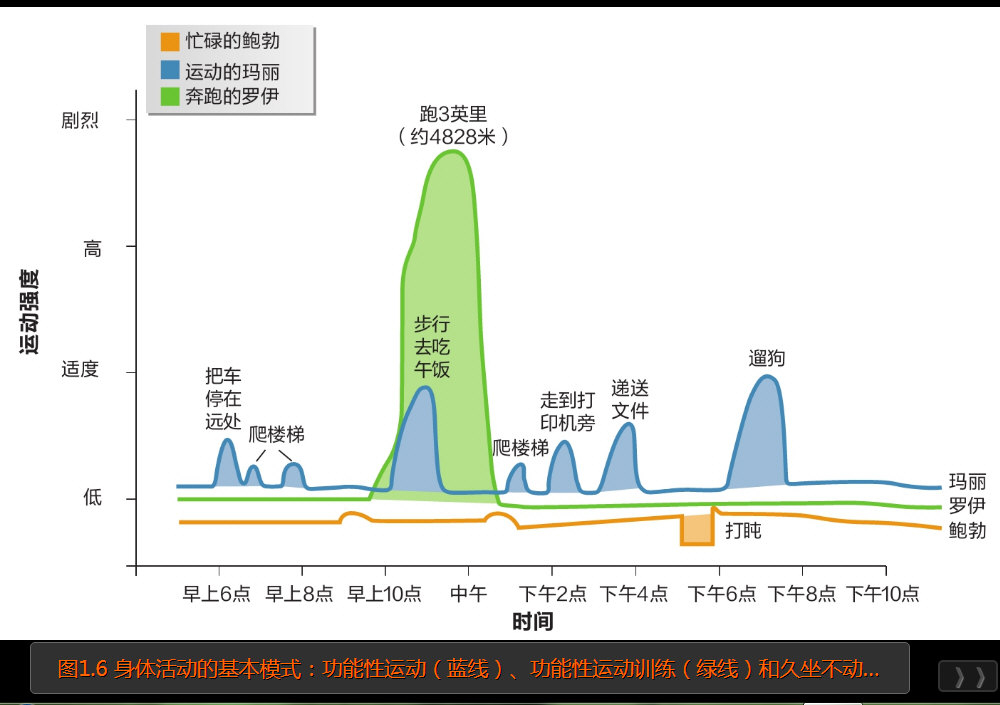 身体活动的基本模式：功能性运动（蓝线）、功能性运动训练（绿线）和久坐不动的生活方式（橙线）.jpg