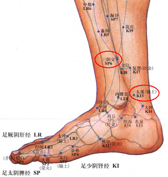 太溪、三阴交.jpg
