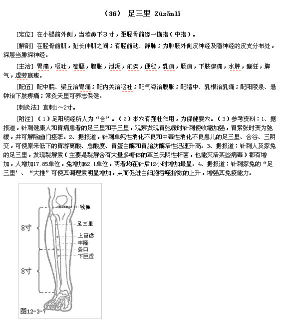 “足三里”简介.jpg