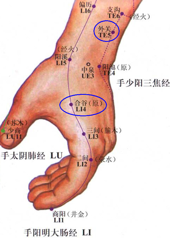 远取一个手阳明大肠经上的原穴合谷；.jpg