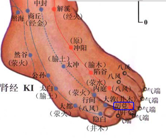 胃火型的加厉兑（足阳明胃经）；.jpg