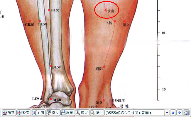 承山（足太阳膀胱经）.JPG