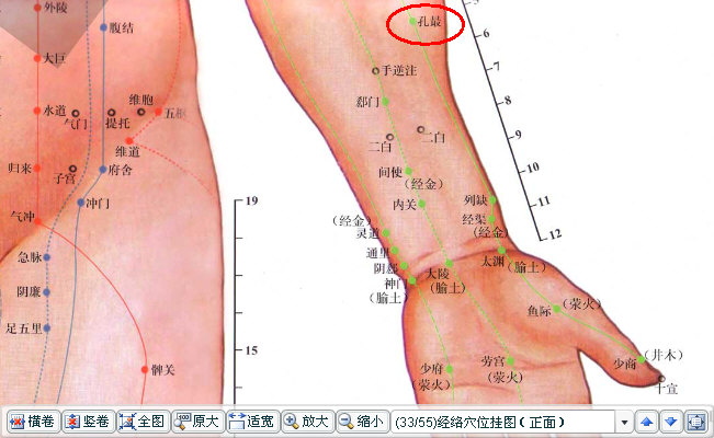 孔最（手太阴肺经）.JPG