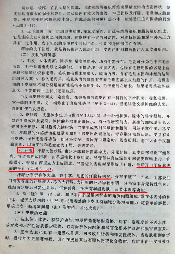 《皮肤》人体解剖生理学_03.JPG