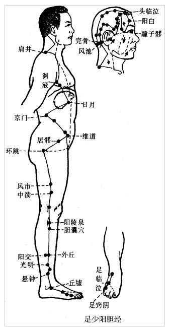 足少阳胆经的经别入胸过心.jpg