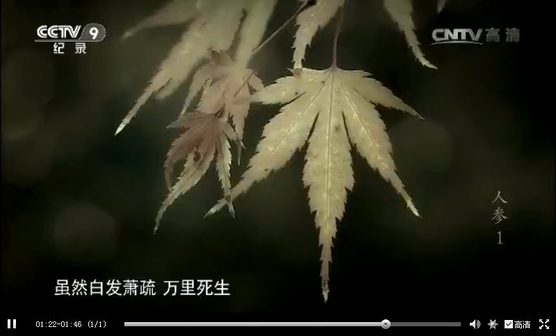 还有苏东坡，差点给针灸《灵枢》经的传承造成了重大不利影响，而他自己却常服人参，是个中医药的票友。_22.jpg