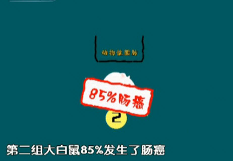 08.第二组大白鼠85％发生了肠癌.jpg