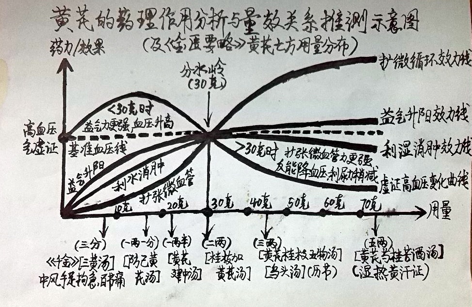 《黄芪的药理作用分析及量效关系推测示意图》（含《金匮要略》黄芪七方剂量分布）：.jpg