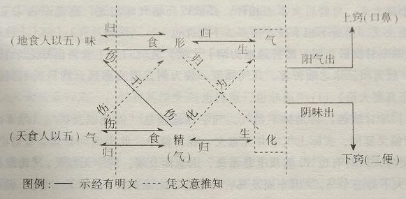 气味、形精、气化关系示意图1_看图王.jpg