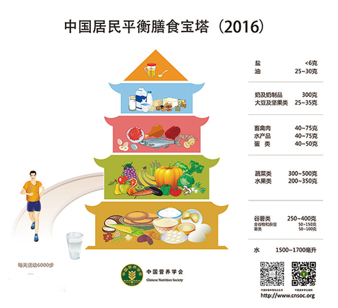 中国居民膳食营养指南：健康膳食宝塔2016（小图）.jpg