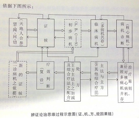 图14：辨证论治过程示意图.png