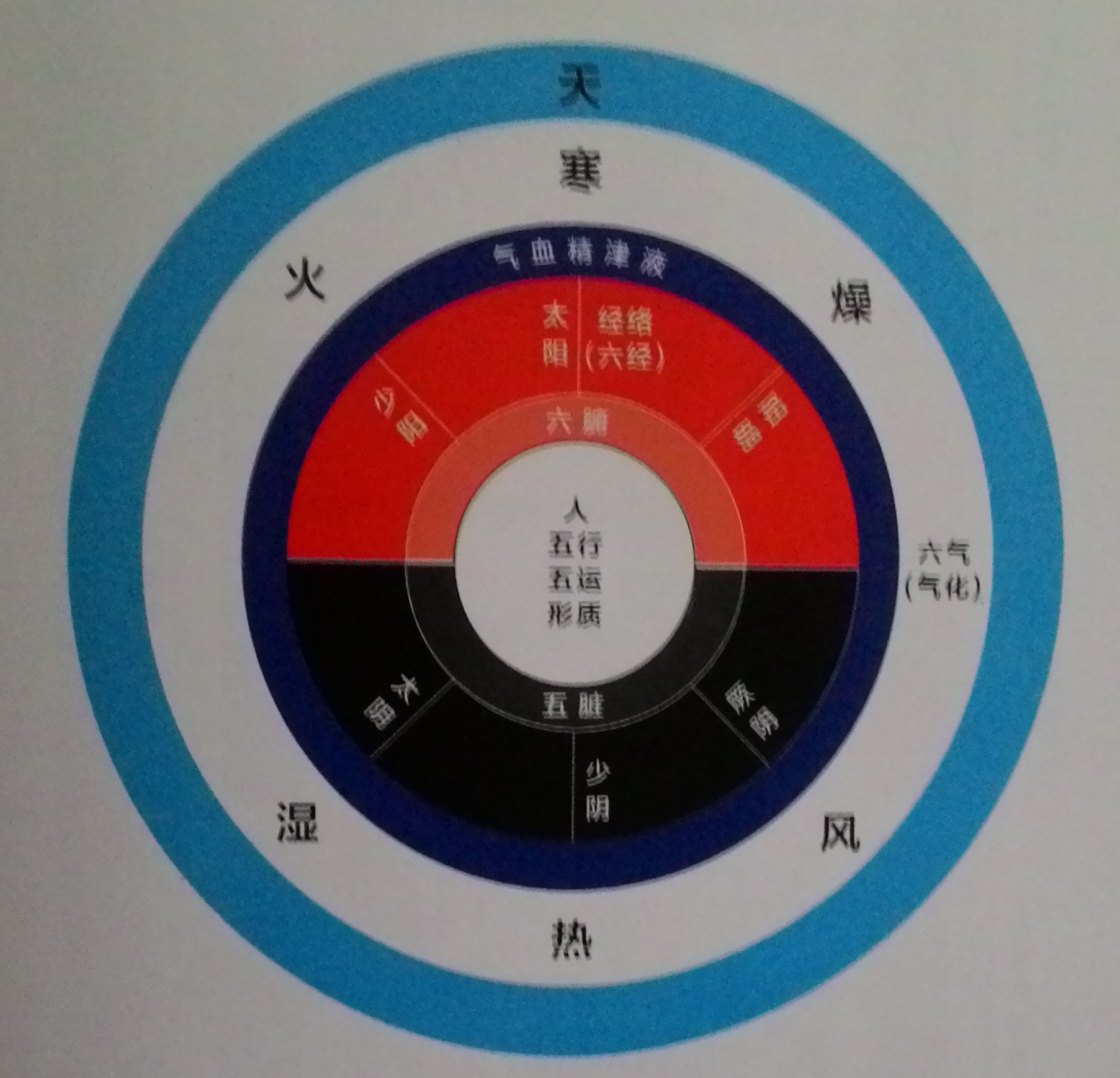 图22：（五运六气）气交定病机---标本中：.jpg