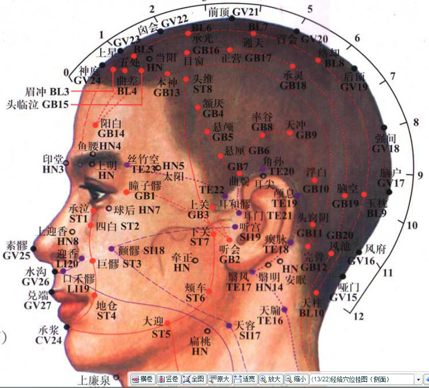 面部侧面经络穴位图.jpg