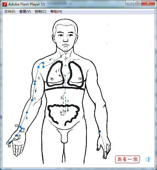 肺经起于中焦(胃)，向下联络大肠，再上行穿过横膈膜，入肺脏…….jpg