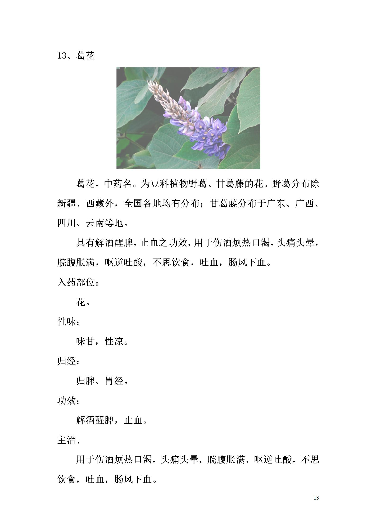 2辛凉解表药_13.jpg