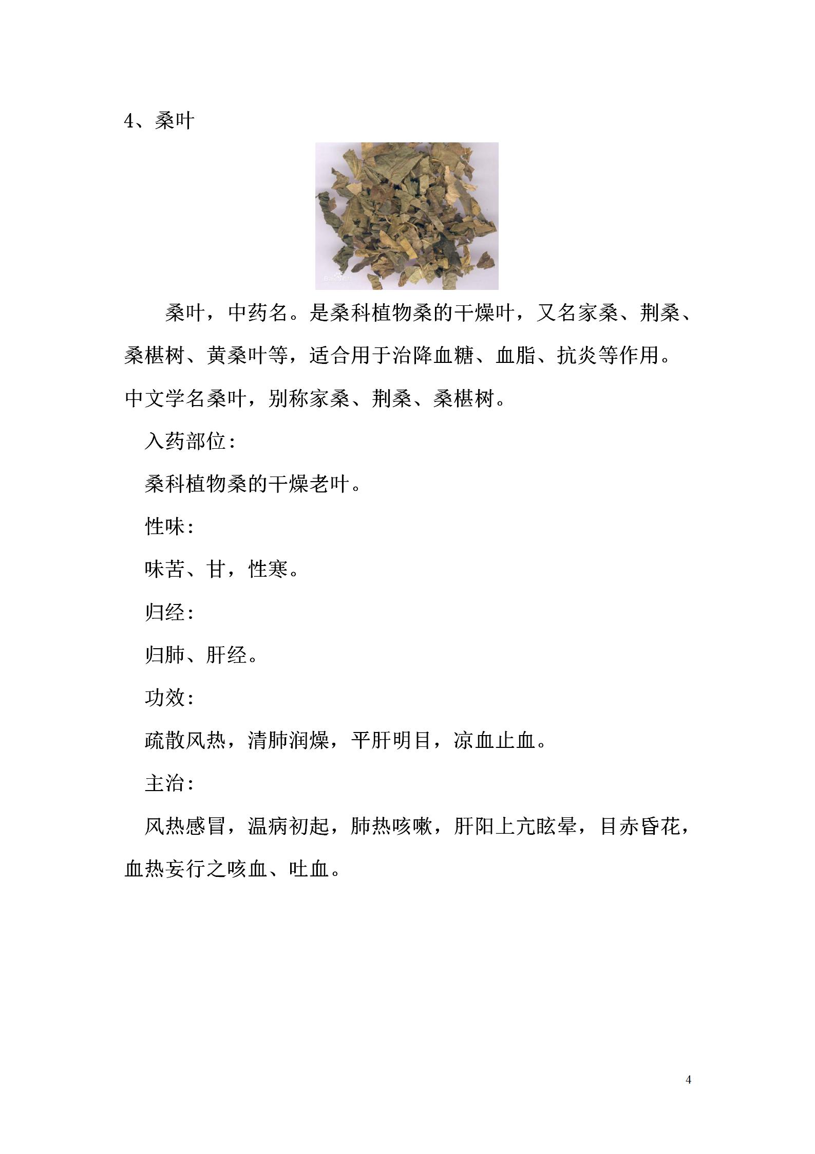 2辛凉解表药_04.jpg