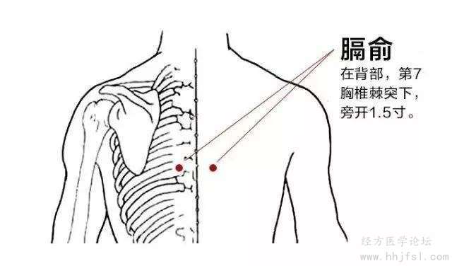 膈俞穴定位图.jpg