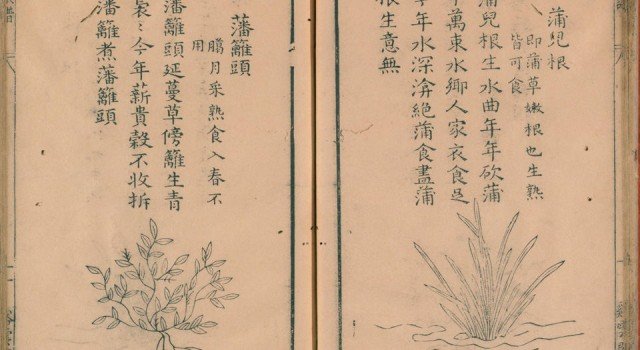 ye-cai-pu05-640x350.jpg