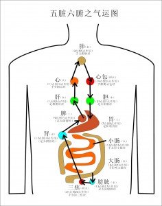 学医的经验01[1].jpg