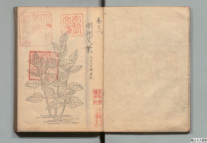 绍兴校定经史证类备急本草画3.jpg