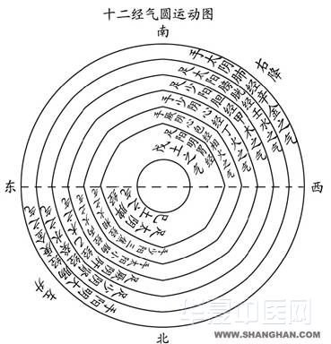 十二经气圆运动图 .jpg