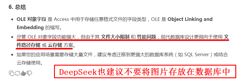 DeepSeek也建议不要将图片存放在数据库中.png