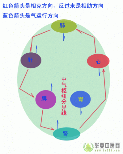 中气运行图.gif