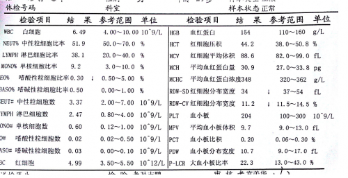 血液正常.png