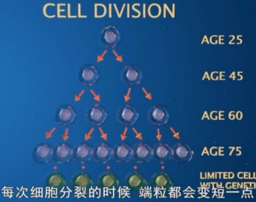 搜狗截图15年03月16日2147_4.png