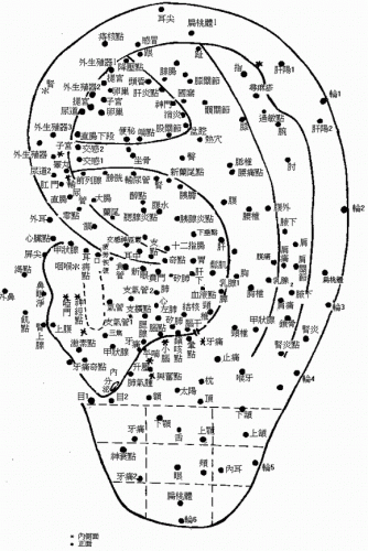 耳穴图.gif