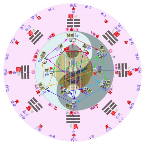 易医奇图标准五星版.jpg