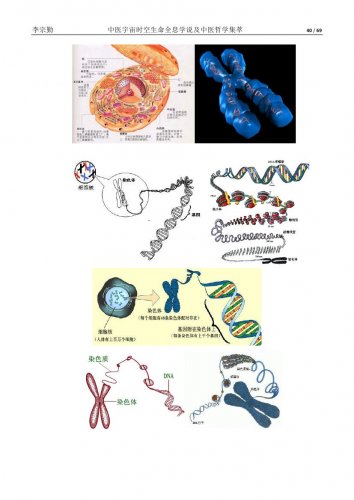 中医宇宙时空生命全息学说及中医哲学集萃V30039.jpg