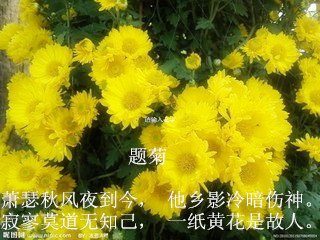 t01573f7a9b28140906_副本.jpg