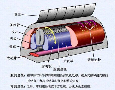 QQ图片20150123115438.jpg