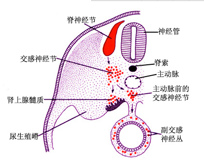 QQ图片20150127232004.png