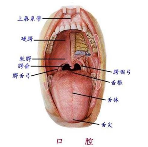 2012120114851418.jpg